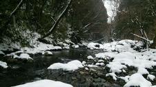 一面、雪景色